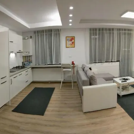 Apartment 10 Busteni