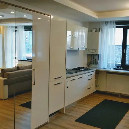 Apartment 10 Busteni