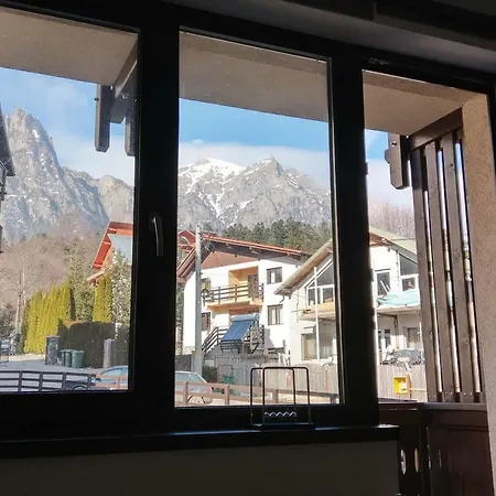 10 Apartment Busteni